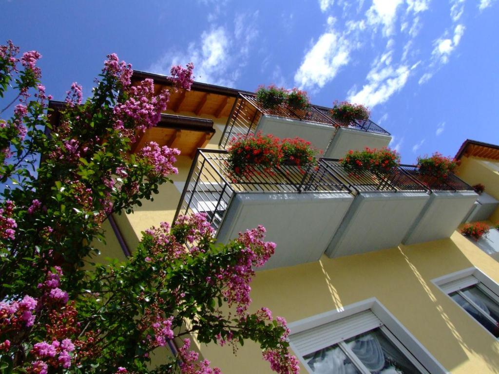Hotel Daniela Levico Terme Exteriör bild